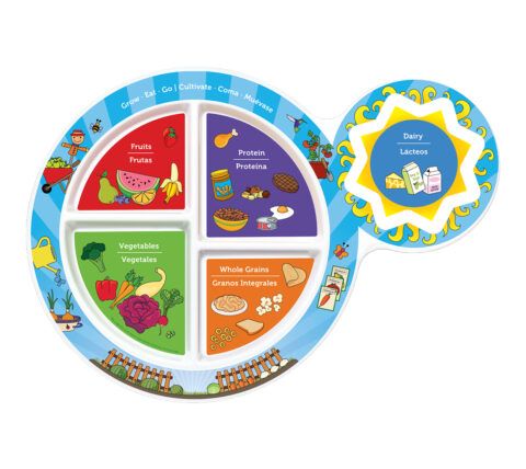 7" Kid's 5-Section Garden Plate