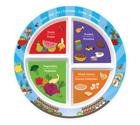 7" Kid's 4-Section Garden Plate