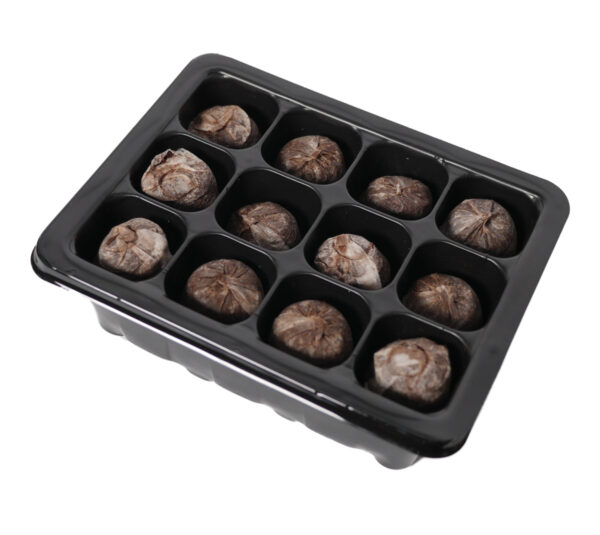 44070_SeedStarterKit-TrayWatered-1200_2508 44070_SeedStarterKit-TrayWatered-1200_2508