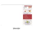 Food Safety Cutting Board - Fruit and Vegetable (Original Design), Spanish Only