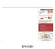 44018S Food Safety Cutting Board - Fruit and Vegetable Tips - Original Design