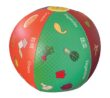 55004 MyPlate Toss Up Beach Ball Game - Vegetables and Grains 3
