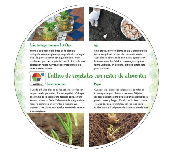 55016 Growing Vegetables from Scraps Tip Card (Spanish) 55016 Growing Vegetables from Scraps Tip Card (Spanish)