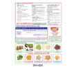 Introducing Solids Tip Card