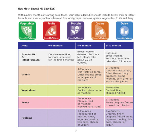 13505E Baby Food Basics Cookbook - Page 7 13505E Baby Food Basics Cookbook - Page 7
