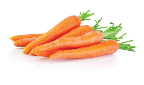 Fresh Baby - Carrots Image