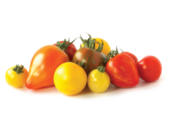 Fresh Baby - Colorful Tomato Image