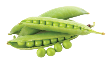 Fresh Baby - Peas In Pod Image
